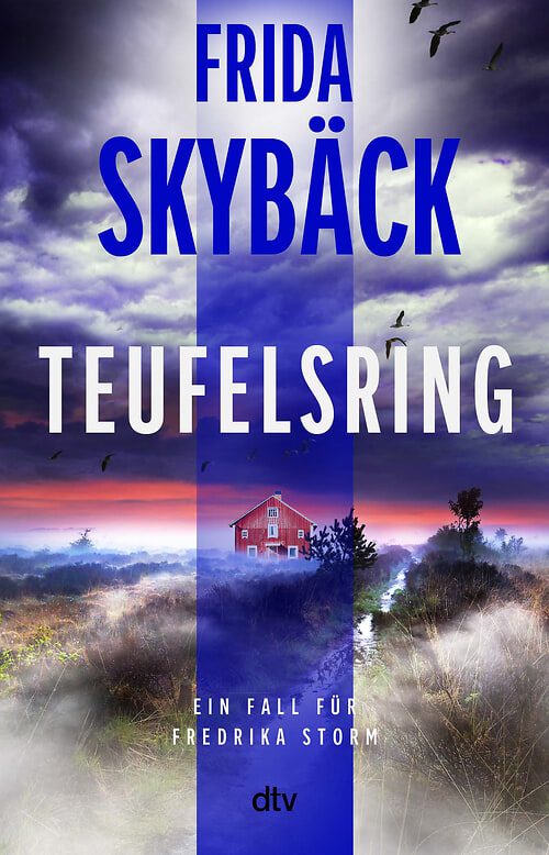 Cover des Buches Teufelsring von 