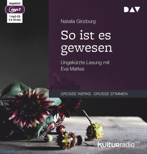 Cover des Buches So ist es gewesen von 