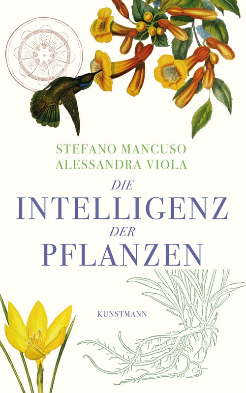 Cover des Buches Die Intelligenz der Pflanzen von 