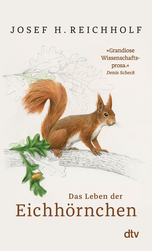Cover des Buches Das Leben der Eichhörnchen von Josef H. Reichholf