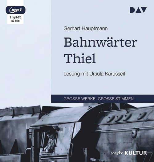 Cover des Buches Bahnwärter Thiel von 