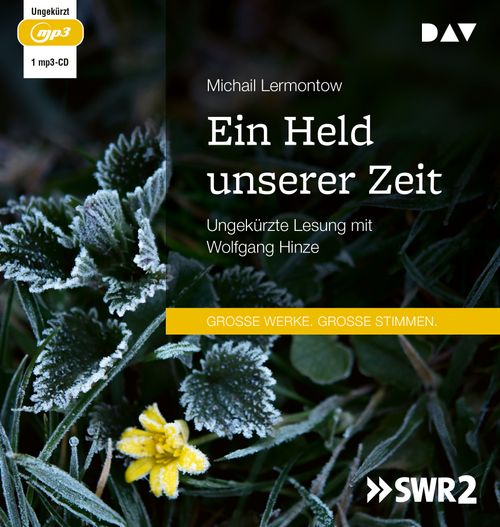 Cover des Buches Ein Held unserer Zeit von 