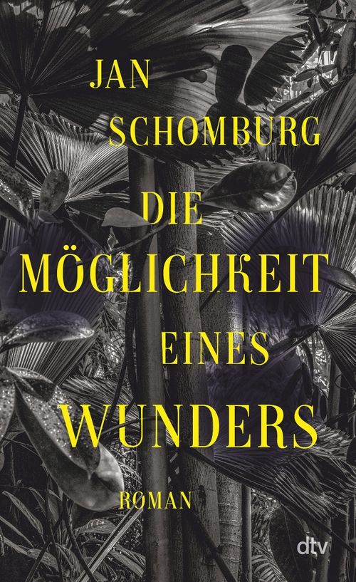 Cover des Buches Die Möglichkeit eines Wunders von 