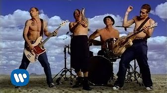 Die Playlist zu Man vergisst nicht, wie man schwimmt auf YouTube