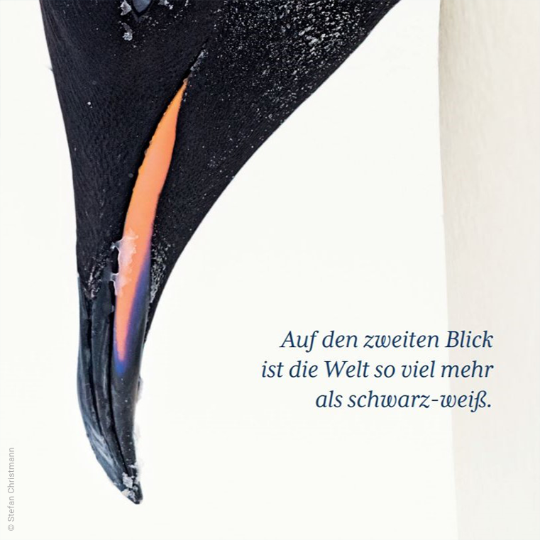 Bild eines Pinguins mit dem Text Auf den zweiten Blick ist die Welt so viel mehr als schwarz weiß.
