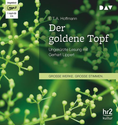 Cover des Buches Der goldene Topf von 