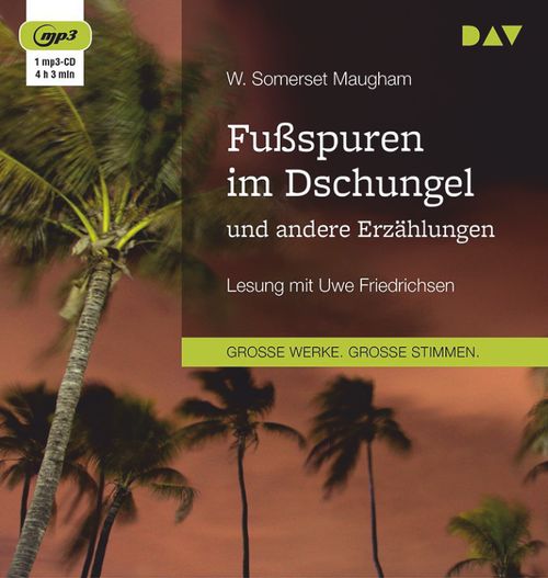 Cover des Buches Fußspuren im Dschungel und andere Erzählungen von 