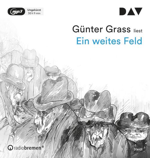 Cover des Buches Ein weites Feld von 