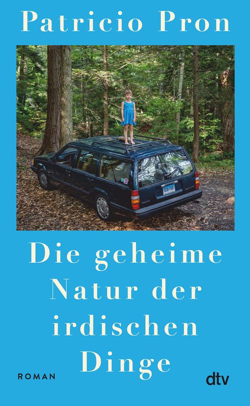 Cover des Buches Die geheime Natur der irdischen Dinge von 