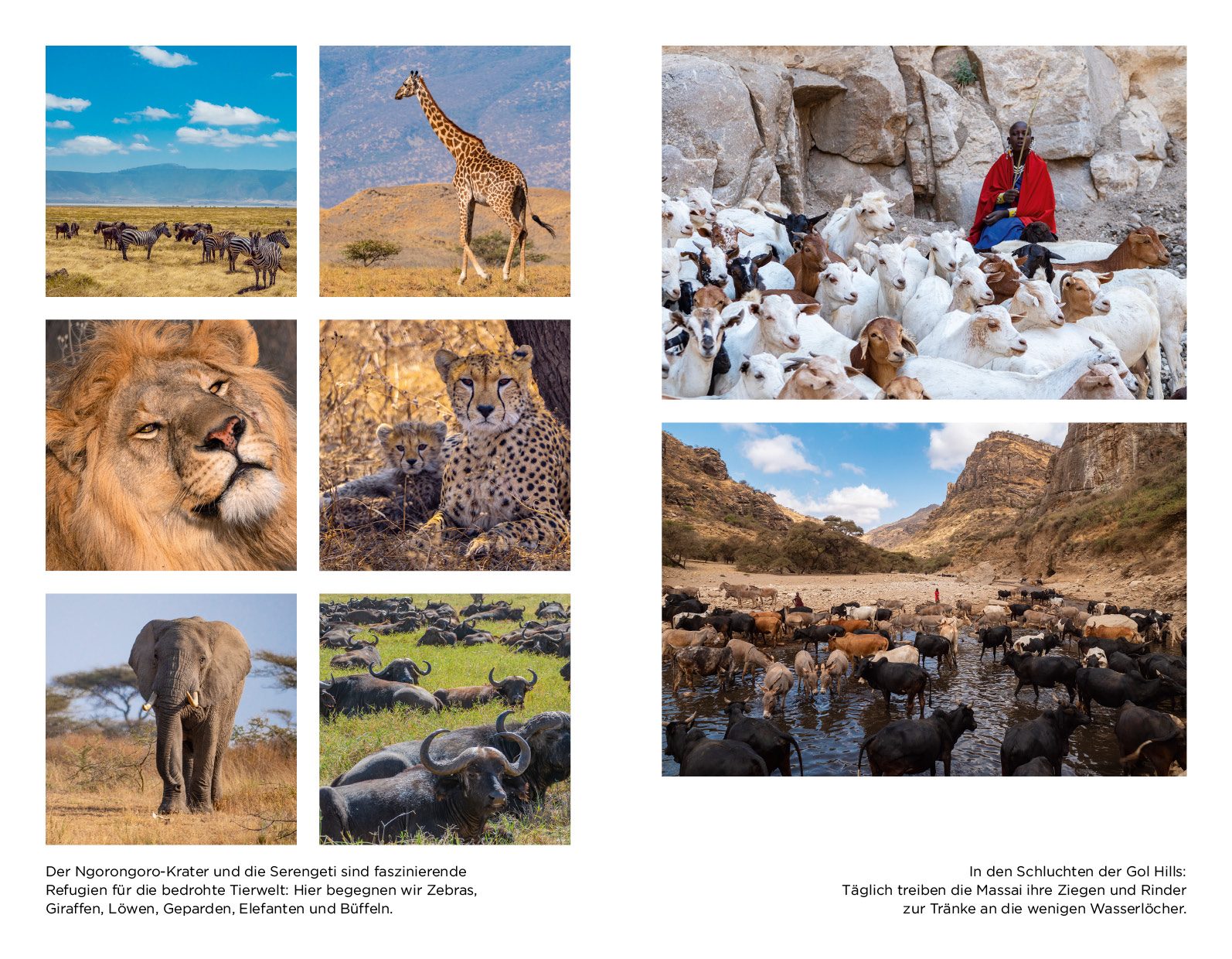 Mein Vater, mein Sohn und der Kilimandscharo