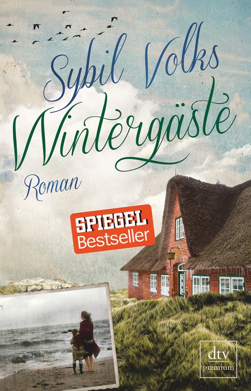 Cover des Buches Wintergäste von 
