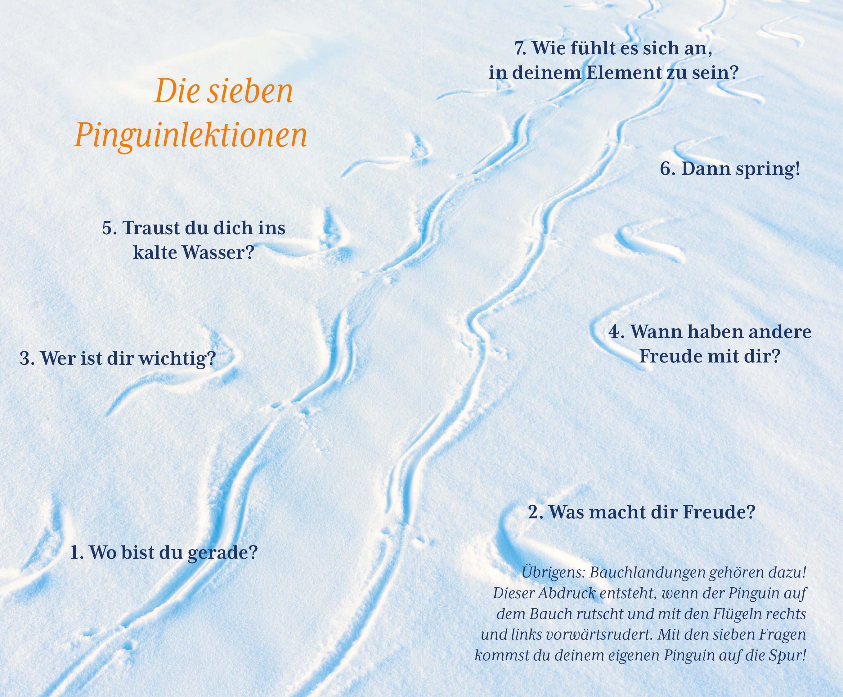 Der Pinguin, der fliegen lernte