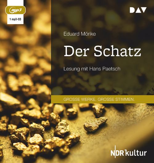 Cover des Buches Der Schatz von 