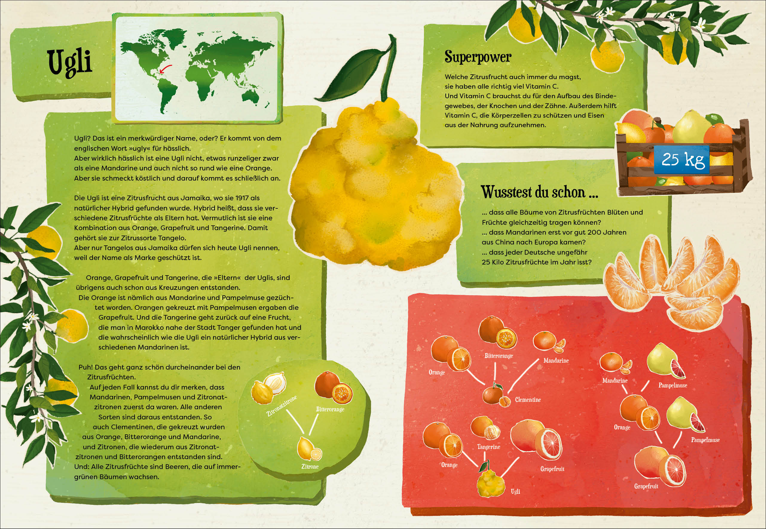 Weißt du, wo der Pfeffer wächst? – Erstaunliches Wissen von Ananas bis Zimt