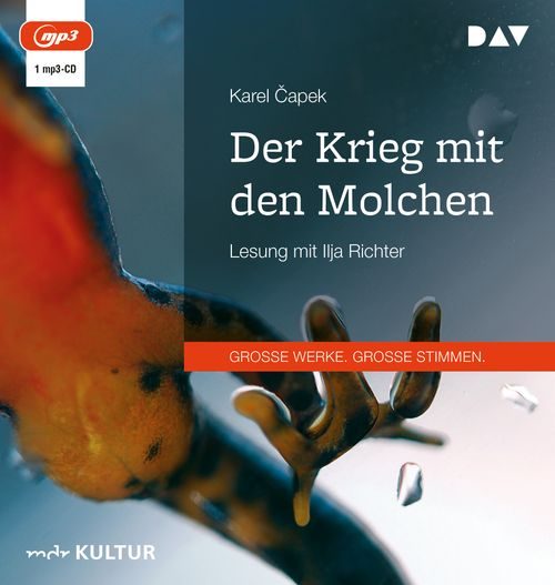 Cover des Buches Der Krieg mit den Molchen von 