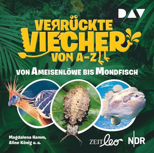 Cover des Buches Verrückte Viecher von A bis Z – Teil 1: Von Ameisenlöwe bis Mondfisch von 