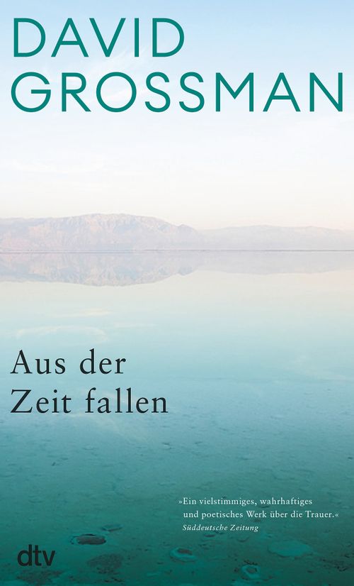 Cover des Buches Aus der Zeit fallen von David Grossman