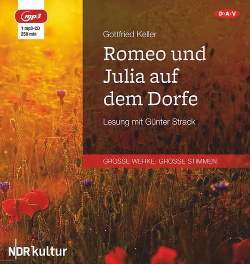 Cover des Buches Romeo und Julia auf dem Dorfe von 