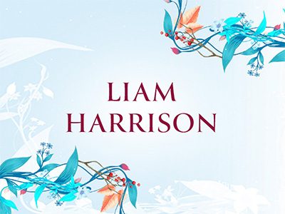 Liam Harrison. Figur aus der Buchreihe Love Songs in London