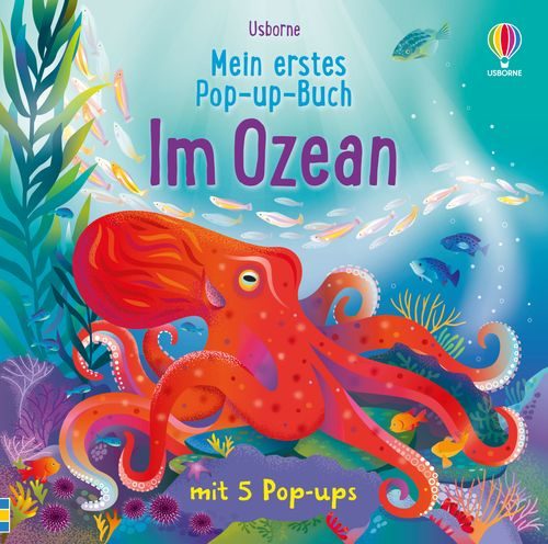 Cover des Buches Mein erstes Pop-up-Buch: Im Ozean von 
