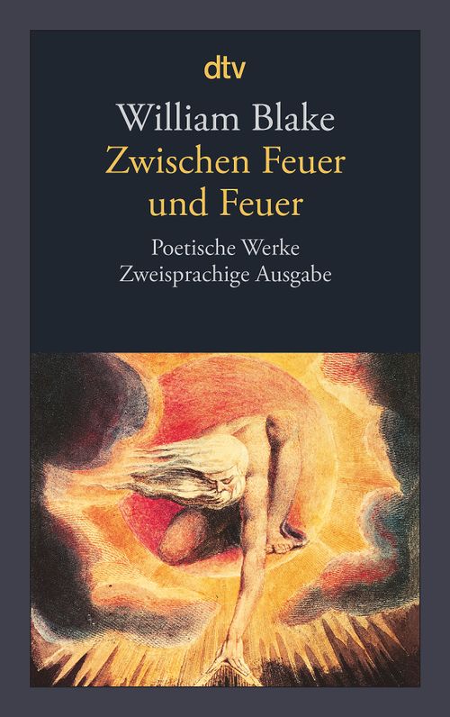 Cover des Buches Zwischen Feuer und Feuer von 