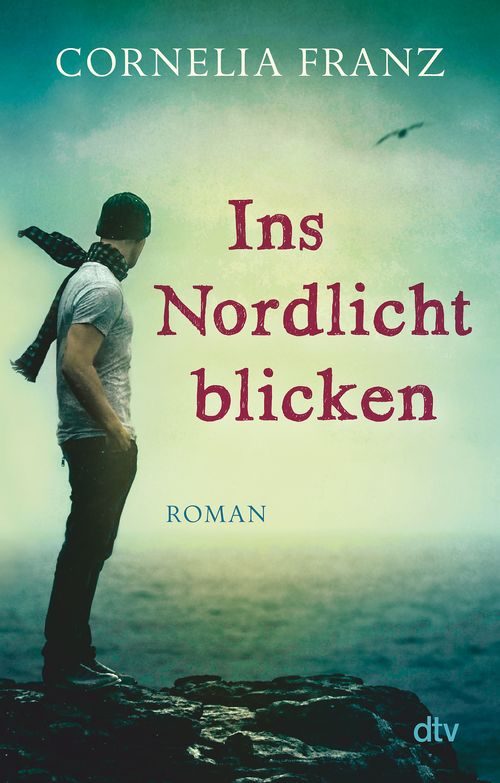 Cover des Buches Ins Nordlicht blicken von 