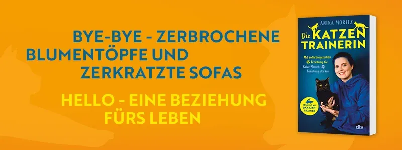 Buch Die Katzentrainerin und Text Bye-Bye zerbrochene Blumentöpfe und zerkratzte Sofas, Hello eine Beziehung fürs Leben.