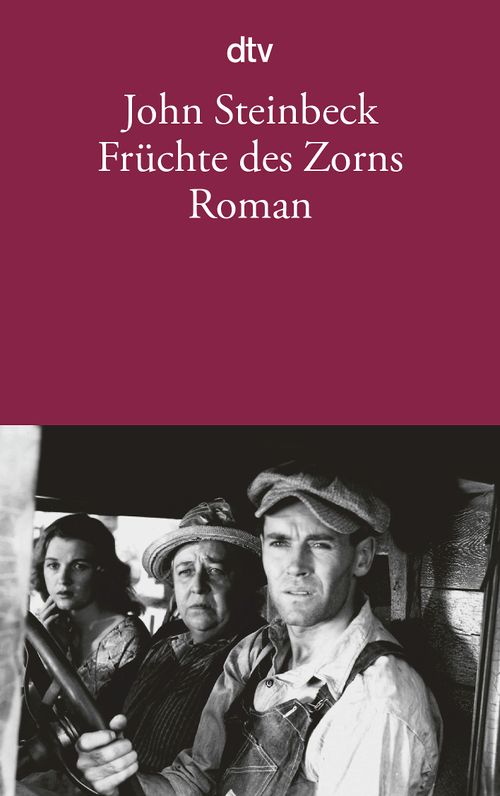 Cover des Buches Früchte des Zorns von John Steinbeck