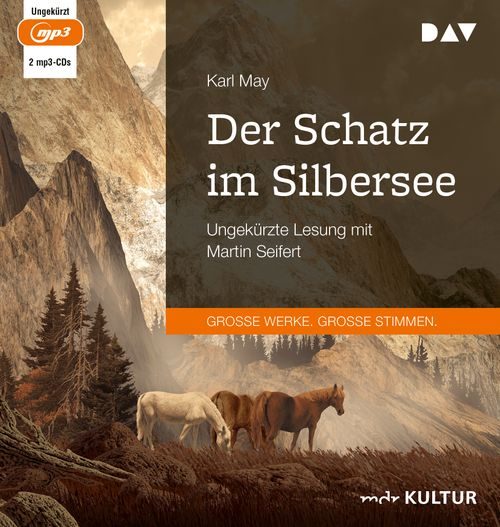Cover des Buches Der Schatz im Silbersee von 