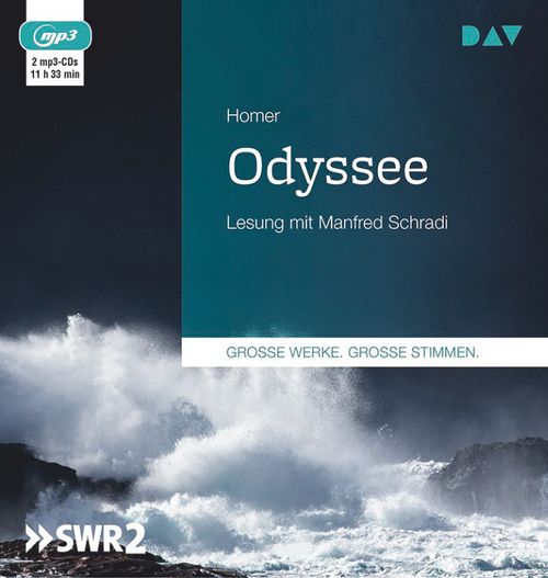 Cover des Buches Odyssee von 