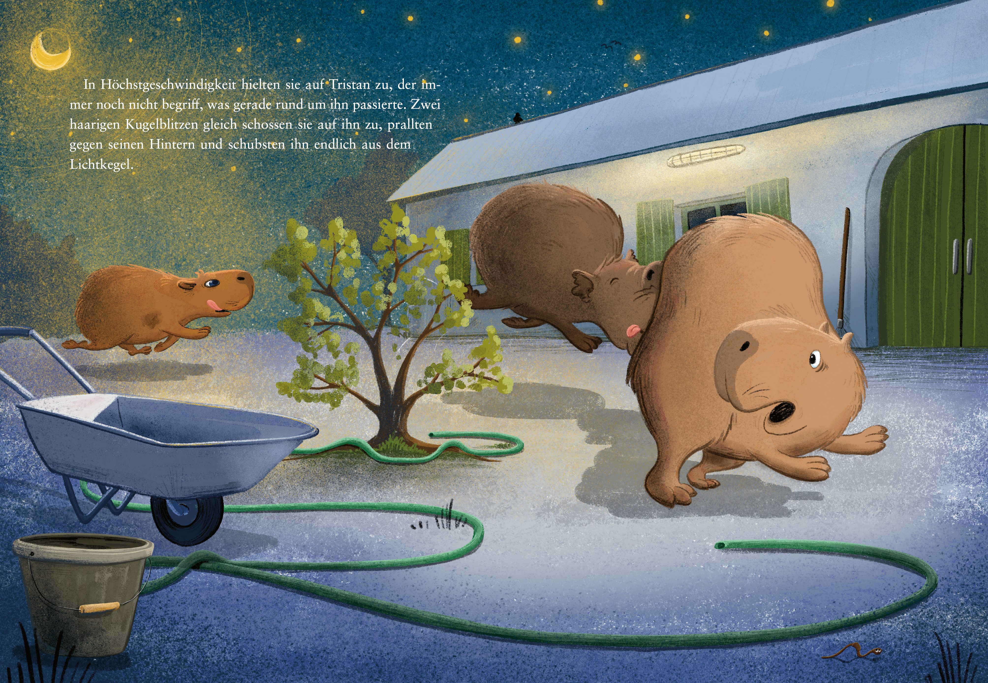 Three Capybaras on a Mission (vol. II)