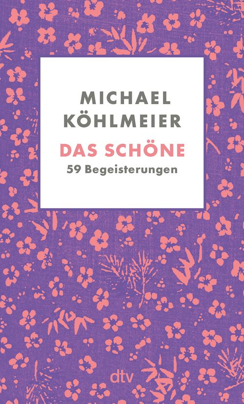Cover des Buches Das Schöne von Michael Köhlmeier