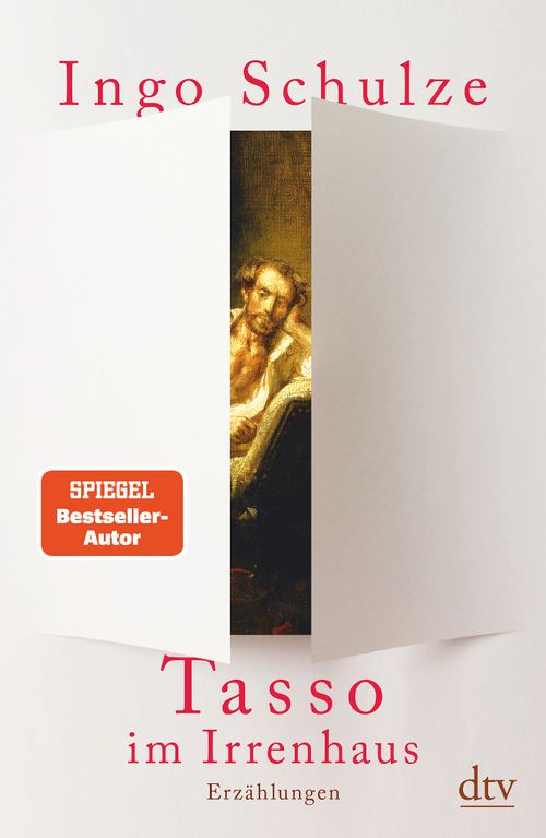 Cover des Buches Tasso im Irrenhaus von Ingo Schulze