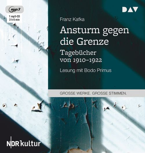 Cover des Buches Ansturm gegen die Grenze. Tagebücher von 1910–1922 von 