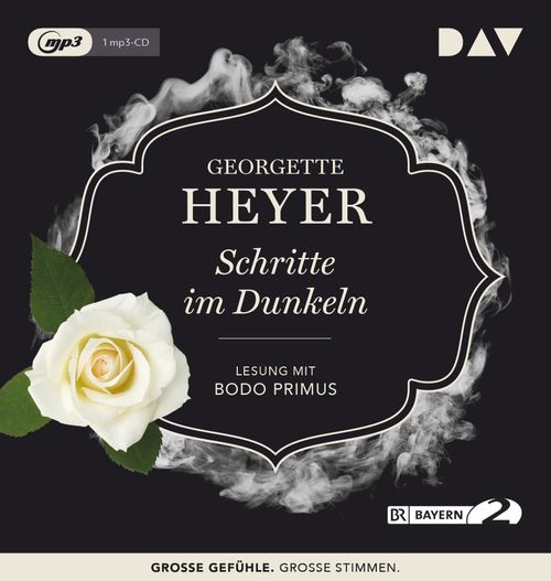 Cover des Buches Schritte im Dunkeln von 