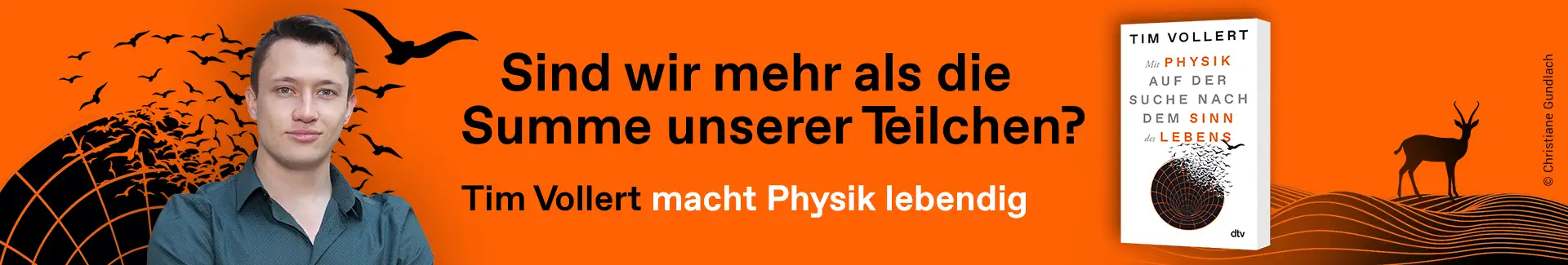 Specialteaser Vollert