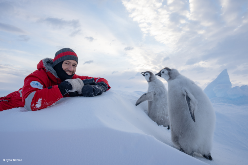 Bild des Fotografen Stefan Christmann mit Pinguinen im Eis.