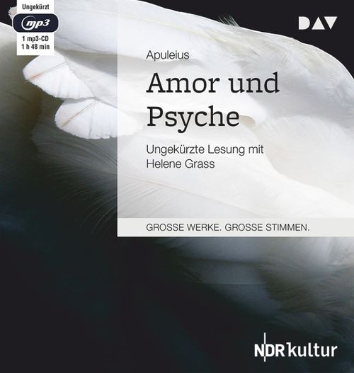 Cover des Buches Amor und Psyche von 