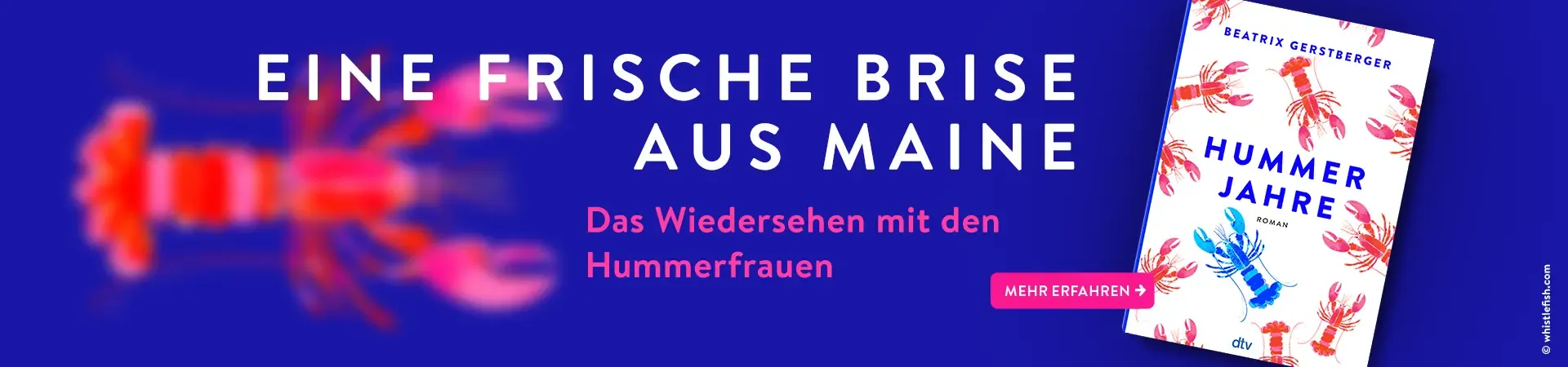 Grafik Buch Hummerjahre von Beatrix Gerstberger